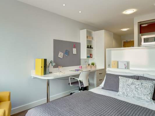 Studio room type